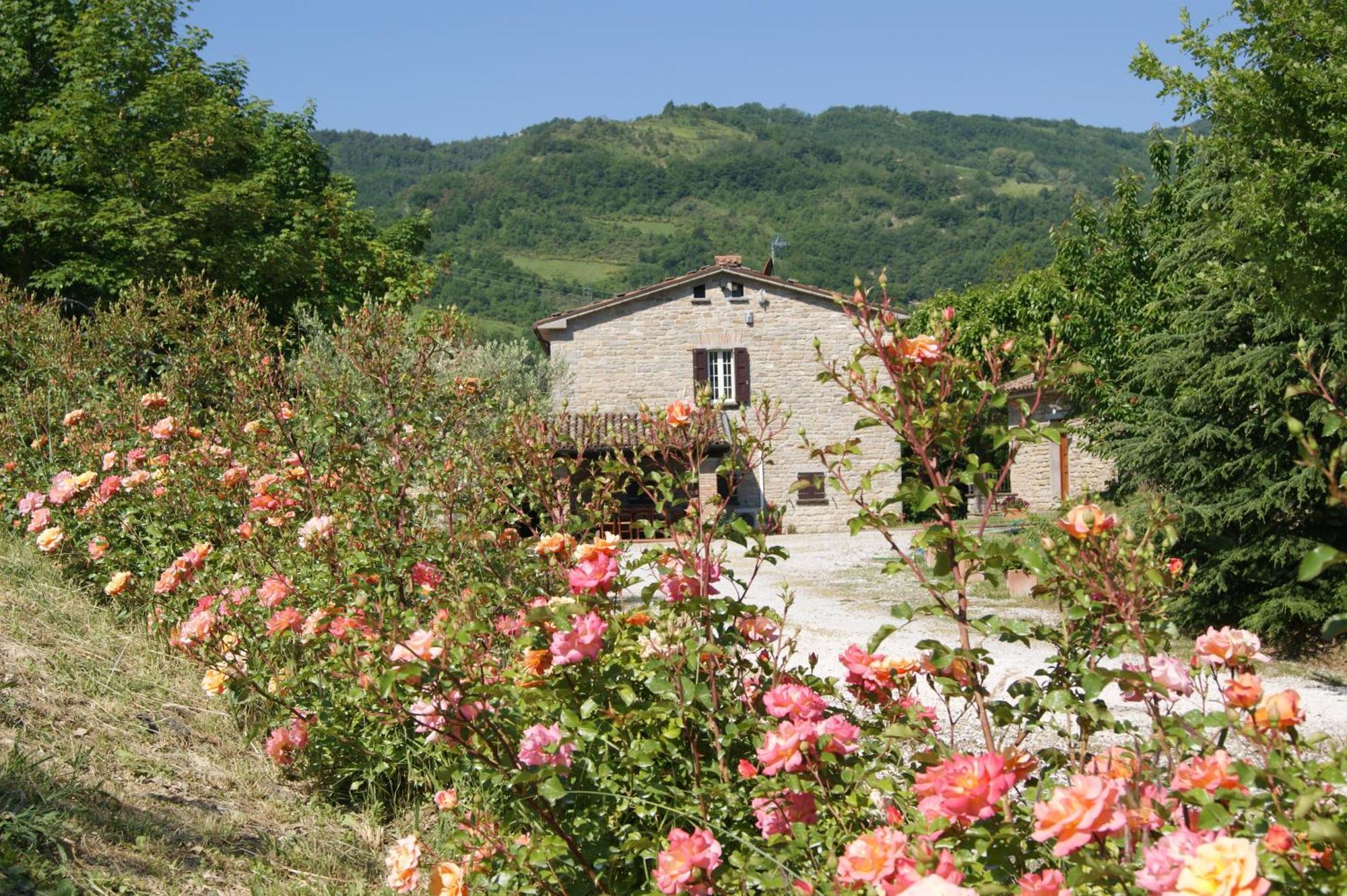 Agriturismo Corte Dei Mori Бризигела Екстериор снимка