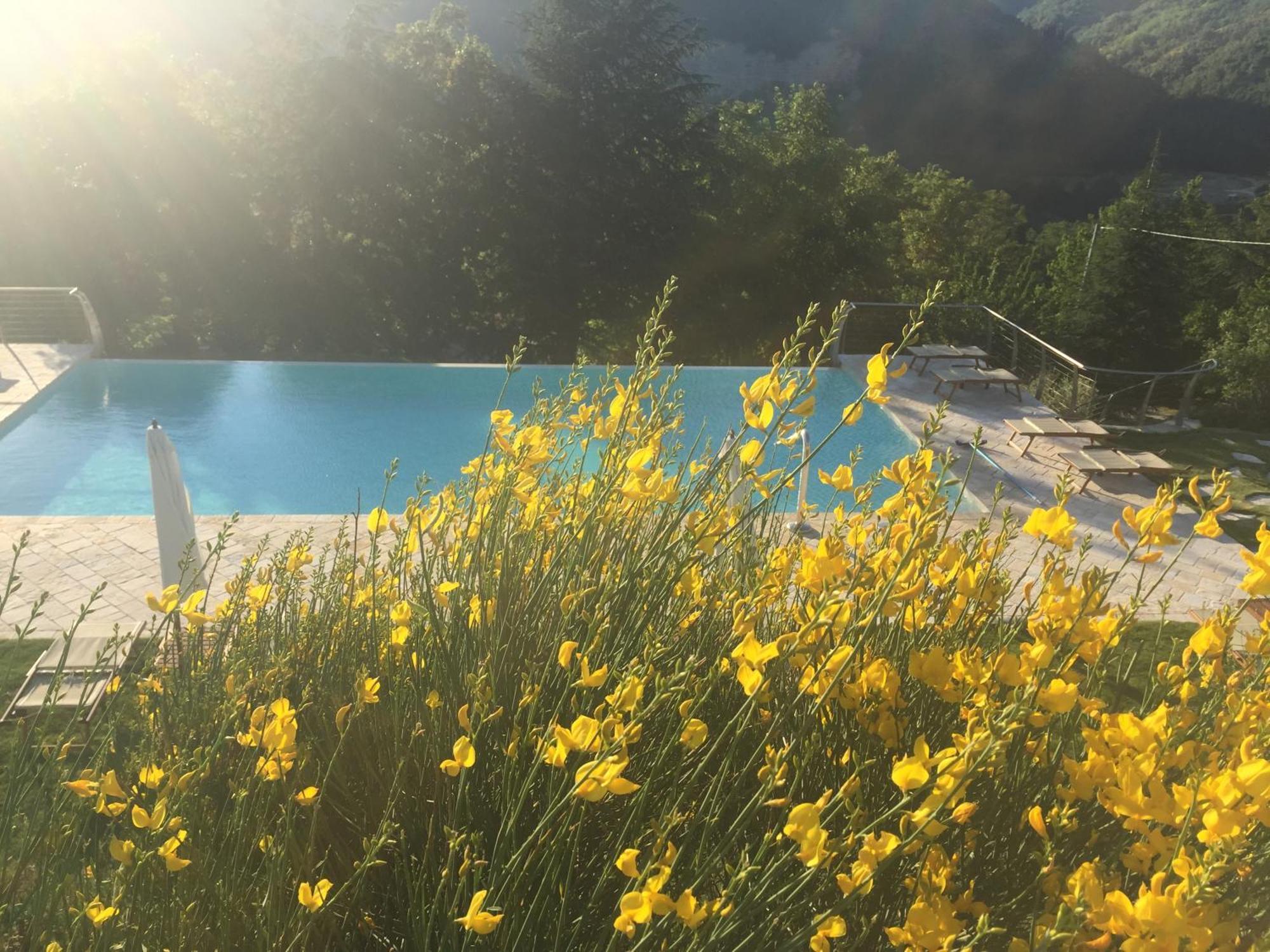 Agriturismo Corte Dei Mori Бризигела Екстериор снимка