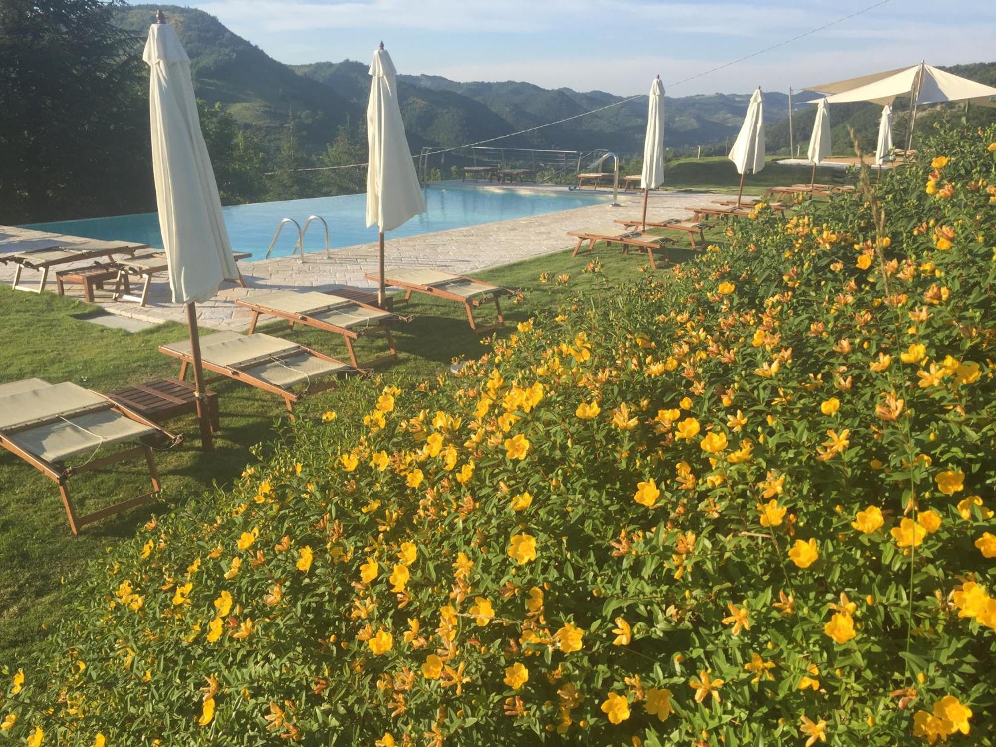 Agriturismo Corte Dei Mori Бризигела Екстериор снимка